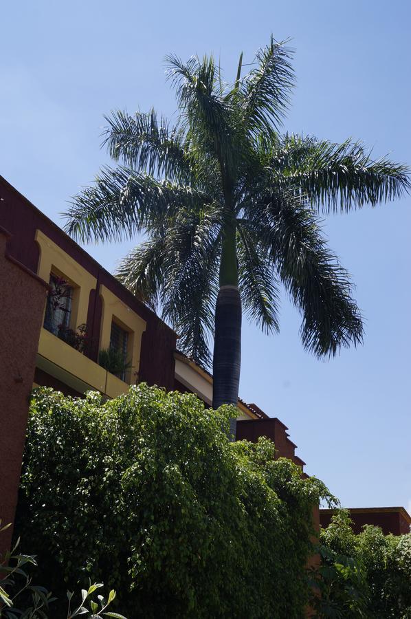 Suites Parador Santo Domingo De G. Oaxaca Exterior foto